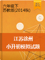 六年级下册数学试题--2019江苏徐州小升初模拟试题   苏教版（2014秋） 含答案