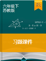 六年级下册数学习题课件｜苏教版