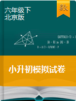 【精品】2020年小学六年级下册数学小升初模拟试卷    北京版（解析版）