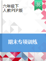 六年级下册英语试题--专题复习 人教PEP 含答案