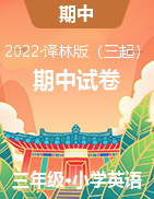 江苏省盐城市滨海县实验小学2022-2023英语上册期中试卷