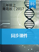 三年级上册科学课件-青岛版（2017）
