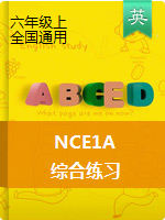 【NCE1A】新概念英语综合练习 含答案
