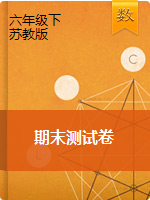 江苏省扬州市小学数学六年级下册期末检测卷（苏教版）（无答案）
