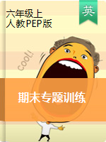 【期末專項】人教版PEP 六年級上冊英語期末專題訓(xùn)練（含答案）