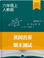 【黄冈名卷】四川省2019~2020学年六年级上学期期末数学试题