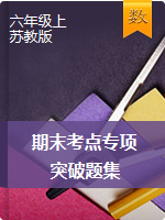 【金牌名師·奪分好題】六年級上冊數學期末秒殺高頻考點專項突破題集   蘇教版（ 含答案）