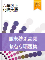 【金牌名師·奪分好題】六年級上冊數(shù)學(xué)期末秒殺高頻考點(diǎn)專項(xiàng)突破題集   北師大版（ 含答案）