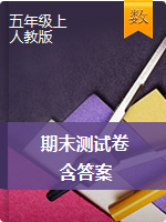 五年級上冊數(shù)學(xué)試題-2020-2021期末測試卷-人教版（含答案）