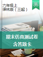 【含答題卡】2020-2021學(xué)年 譯林版 六年級(jí)英語(yǔ)上冊(cè)期末仿真測(cè)試卷 (含答案)