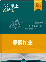 【寒假作业】2020苏教版六年级上册数学寒假作业