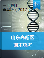 山东省潍坊市高新区科学三-六年级2020-2021学年上学期期末测试（青岛版，图片版，无答案）