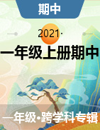 2021-2022学年云南省玉溪市红塔区部编版一年级上册期中核心素养评价试卷