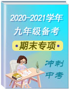 2020-2021学年九年级英语期末专项训练