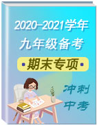 2020-2021學(xué)年九年級英語期末專項訓(xùn)練