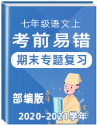 2020-2021學(xué)年七年級語文上期末考前易錯專題復(fù)習（部編版）