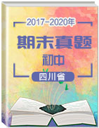 四川省各市（2017-2020）三年初中上学期期末真题汇总