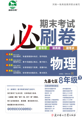 洛阳九县七区2022-2023学年八年级物理下册期末考试必刷卷 (人教版)