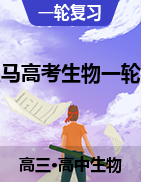 【伯樂馬】2022高考生物一輪復(fù)習(xí)同步考練