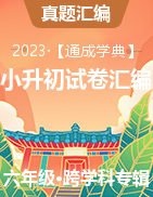 【通成学典】2022小学毕业考试试卷精编
