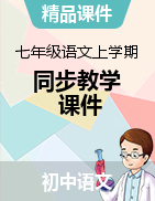 【精品課件】2023-2024學(xué)年七年級(jí)語(yǔ)文上學(xué)期同步教學(xué)課件