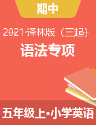 【期中语法专项】2021年译林三起 五年级上册英语期中语法检测卷（含答案） 