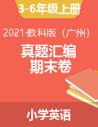 真题汇编全真模拟期末卷（2021-2019年真题）3-6年级英语上册 教科版（广州）（含答案）