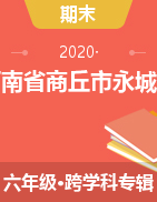 河南省商丘市永城市 2019-2020学年六年级下学期期末考试试题 