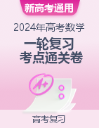 2024年高考數(shù)學(xué)一輪復(fù)習(xí)考點(diǎn)通關(guān)卷（新高考通用）