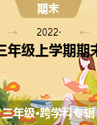 湖南省怀化市鹤城区2021-2022学年三年级上学期期末教学质量检测试题