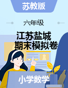 【模擬卷】江蘇省鹽城市某小學(xué)1-6年級數(shù)學(xué)下冊期末模擬測試卷 含答案 蘇教版