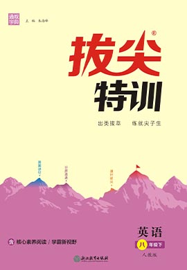 【拔尖特訓(xùn)】2022-2023學(xué)年八年級下冊英語（人教版）