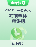 2023年中考語(yǔ)文考前查補(bǔ)精講練（全國(guó)通用）