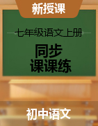 2023-2024學(xué)年七年級(jí)語文上冊(cè)同步課課練