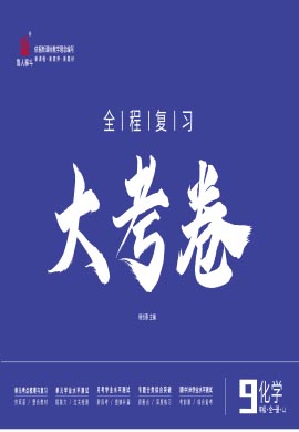 【一課通】2023-2024學(xué)年九年級全一冊化學(xué)同步大考卷全程復(fù)習(xí)（魯教版）