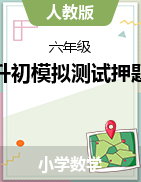 小升初模擬測(cè)試押題卷（試題）2023-2024學(xué)年六年級(jí)下冊(cè)數(shù)學(xué) 人教版