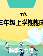 浙江省丽水市莲都区2018-2019学年三年级上学期期末检测试题 