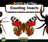 Counting Insects