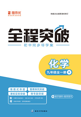 （課時作業(yè)課件）【思而優(yōu)·全程突破】2024-2025學(xué)年九年級化學(xué)全一冊同步訓(xùn)練（人教版2024）