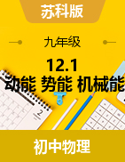 12.1 動(dòng)能 勢(shì)能 機(jī)械能 導(dǎo)學(xué)案 2024-2025學(xué)年蘇科版物理九年級(jí)上冊(cè)