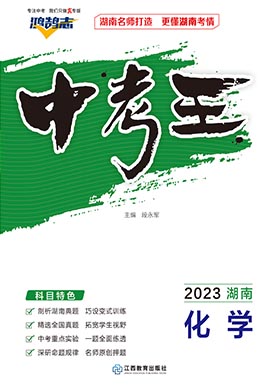 【鸿鹄志·中考王】2023中考化学（湖南专用）