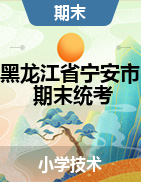 黑龙江省牡丹江市宁安市技术三-六年级上学期期末学业水平测试卷 2020-2021学年 