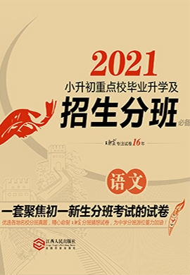 2021小升初語(yǔ)文重點(diǎn)校畢業(yè)升學(xué)及招生分班必備【王朝霞系列叢書(shū)】