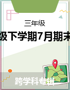 湖南省永州市冷水滩区2022-2023学年三年级下学期7月期末考试试题