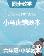 （同步講練測(cè)）2024-2025學(xué)年六年級(jí)下冊(cè)數(shù)學(xué)小馬虎錯(cuò)題本（北師大版）