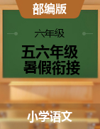 【五六年級(jí)暑假銜接】2021年五年級(jí)語(yǔ)文下冊(cè)復(fù)習(xí)檢測(cè) （部編版，含答案）