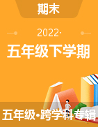 海南省乐东县2021-2022学年五年级下学期期末检测试题