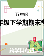 湖南省常德市汉寿县2022-2023学年五年级下学期期末考试试题