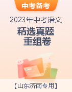 冲刺2023年中考语文精选真题重组卷（山东济南专用）