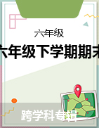 四川省广安市2022-2023学年六年级下学期期末水平检测试题